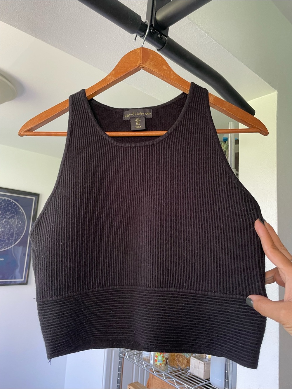 House of Harlow 1960 Black Ribbed Cropped Tank
